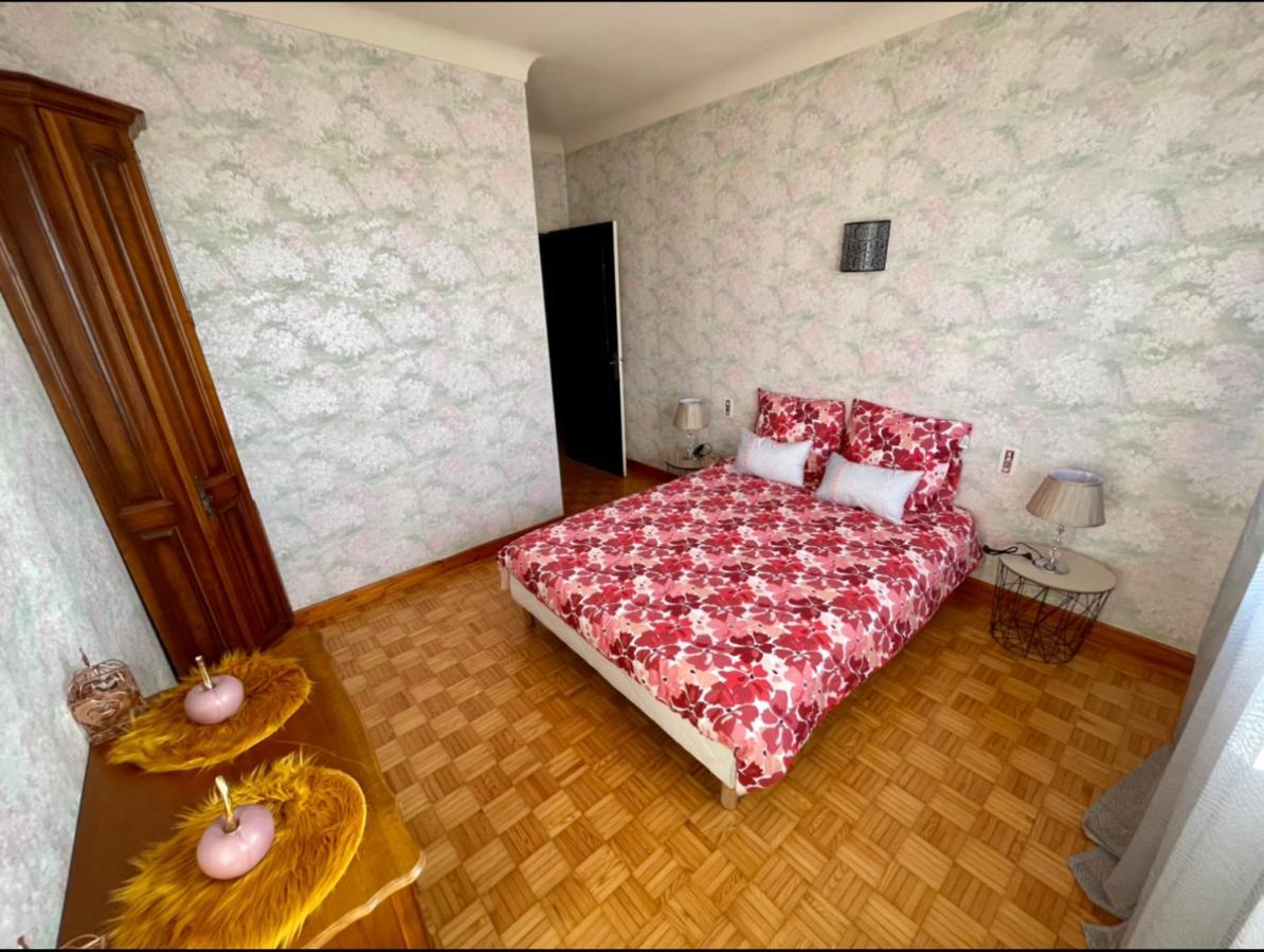 Tres Grand Appartement A 10 Min A Pied Du Centre Castres  Exterior photo